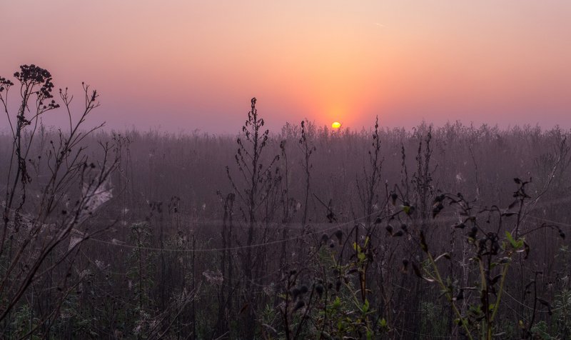 Встречая солнце с пауками фото превью