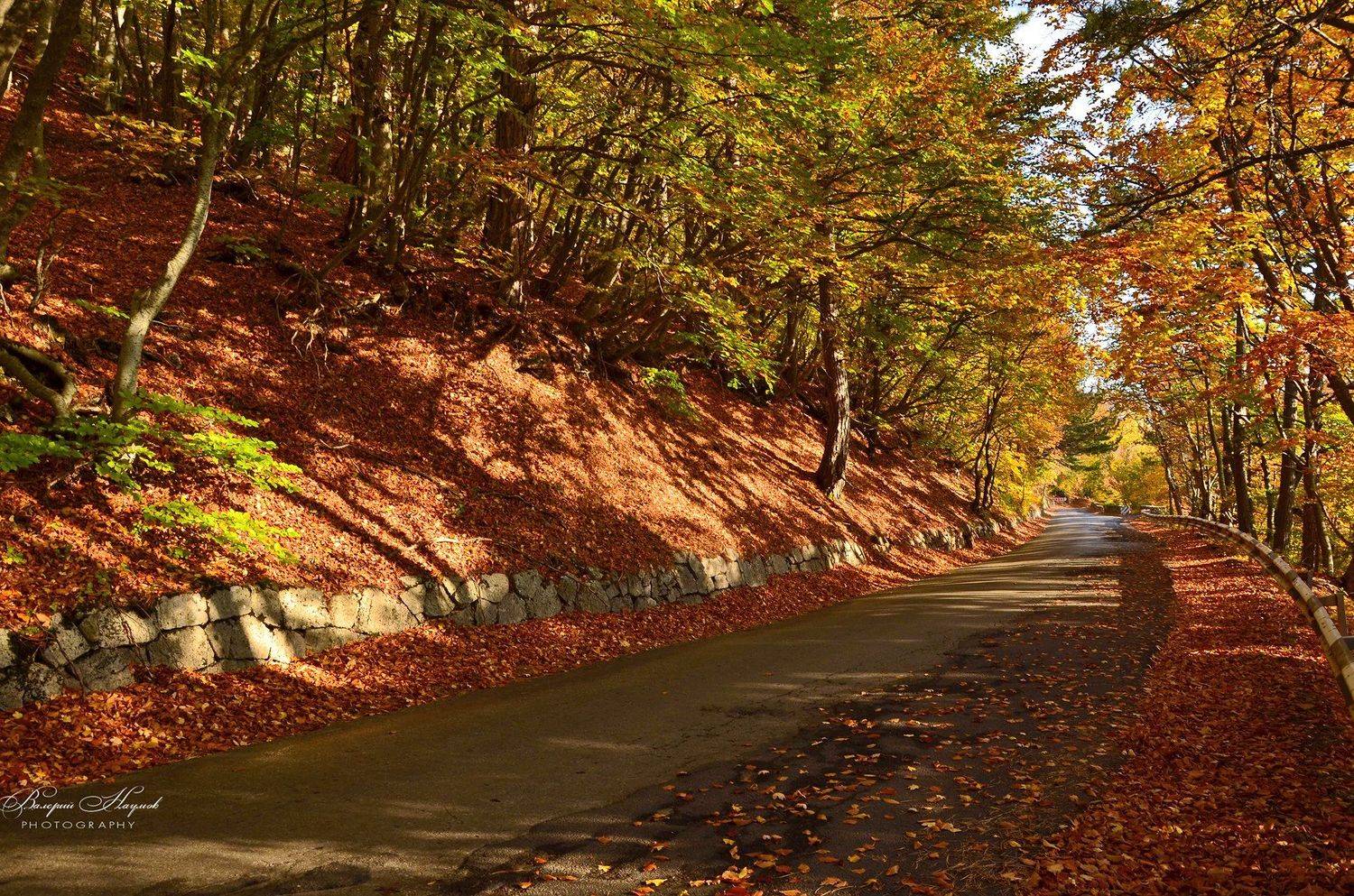 осень, крым, дорога на ай-петри, листва, скумпия, Валерий Наумов