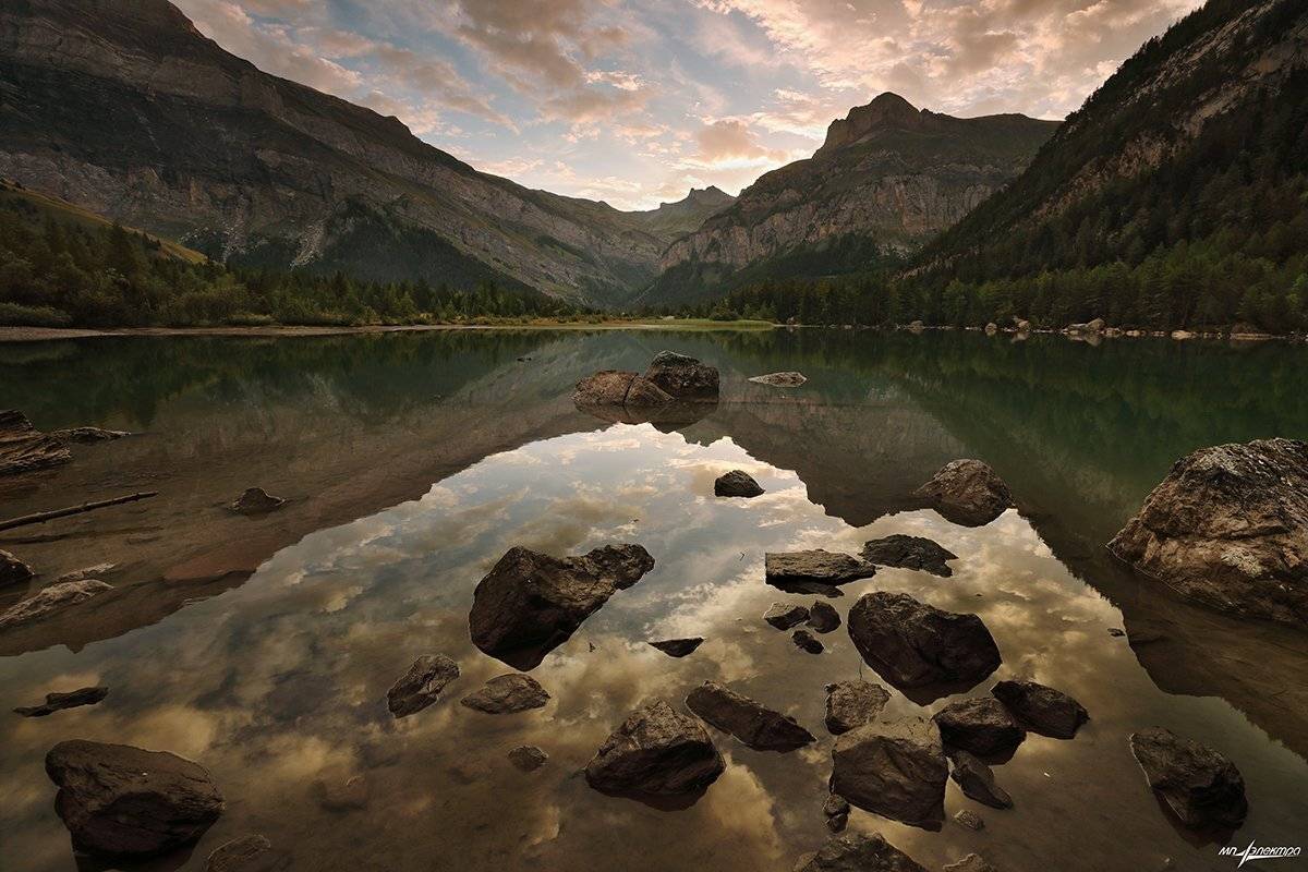 swiss, Матвеев Николай