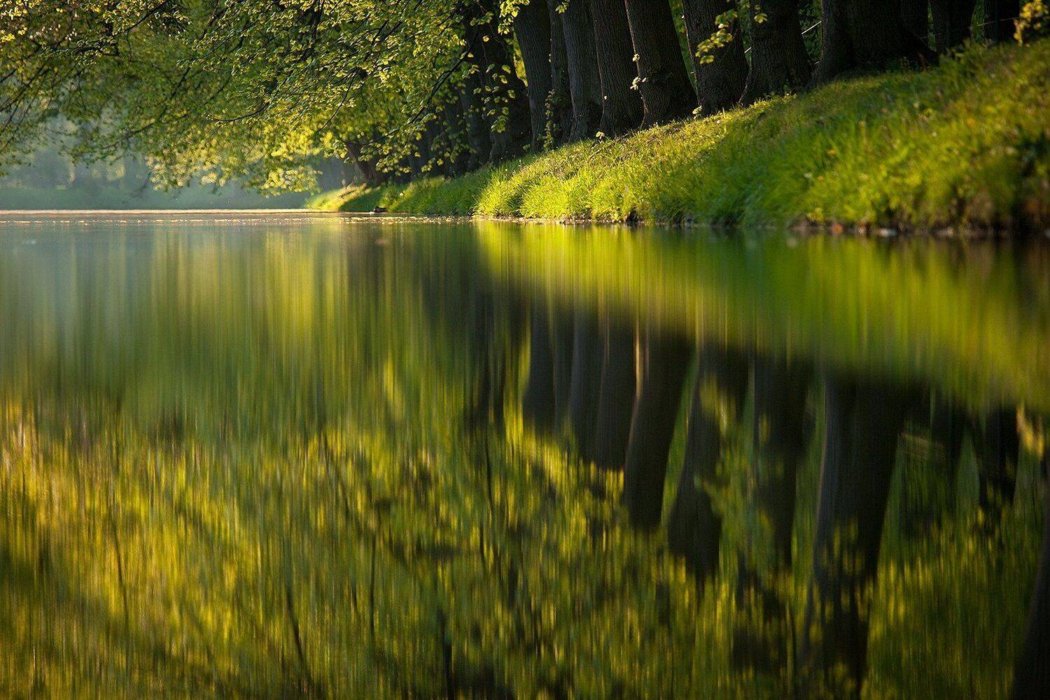 , Robert Adamec