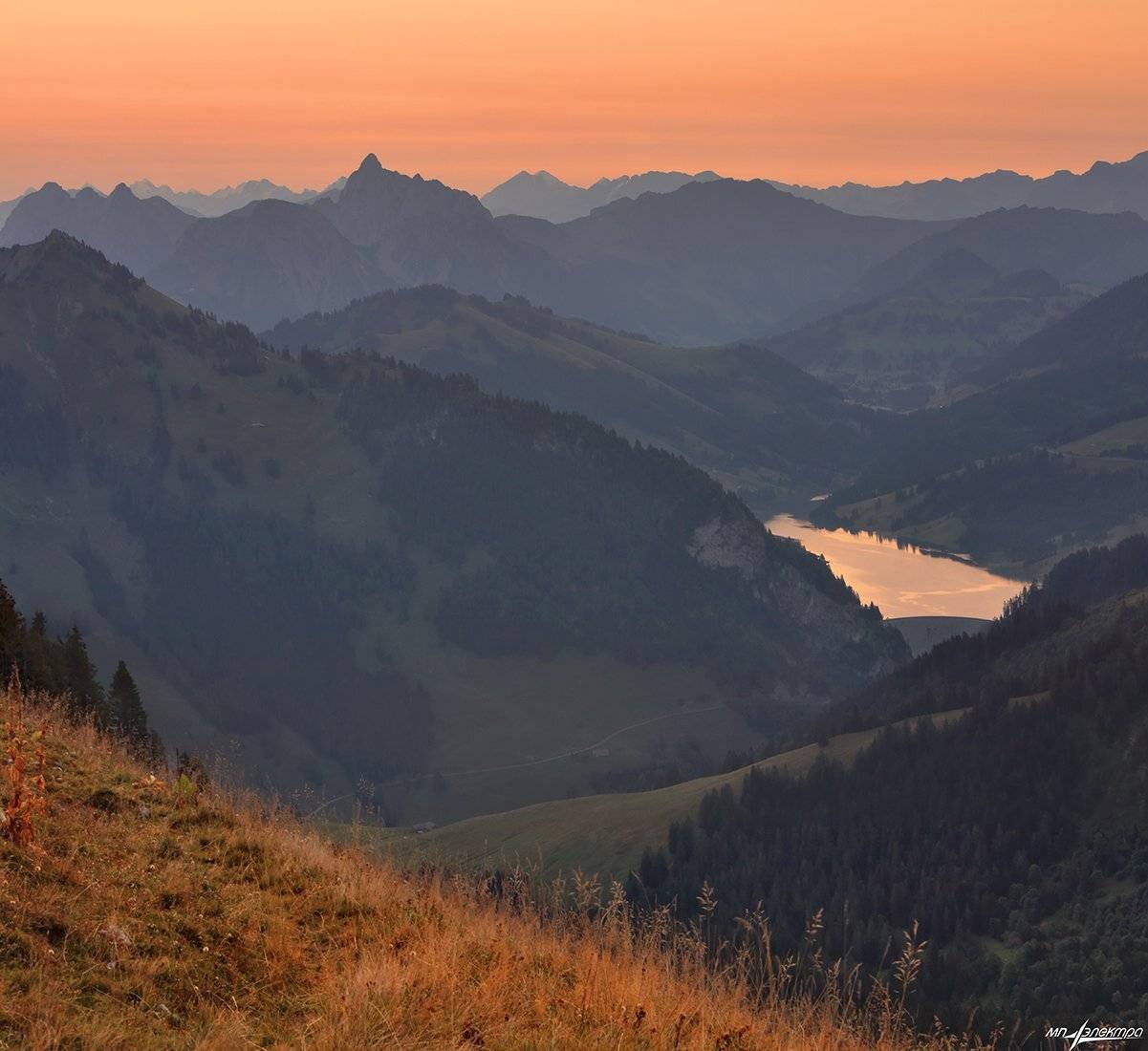 swiss, Матвеев Николай