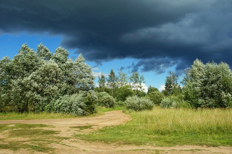 В ожидании грозы фото превью