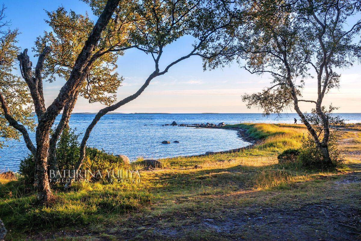 соловки, соловецкие острова, лабиринт, Юлия Батурина