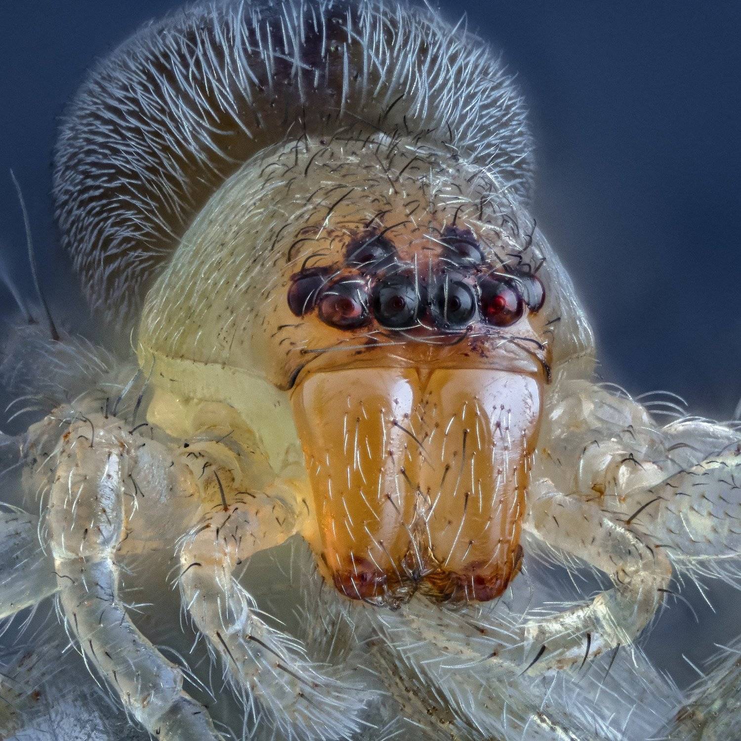 , Сергей Федоренко