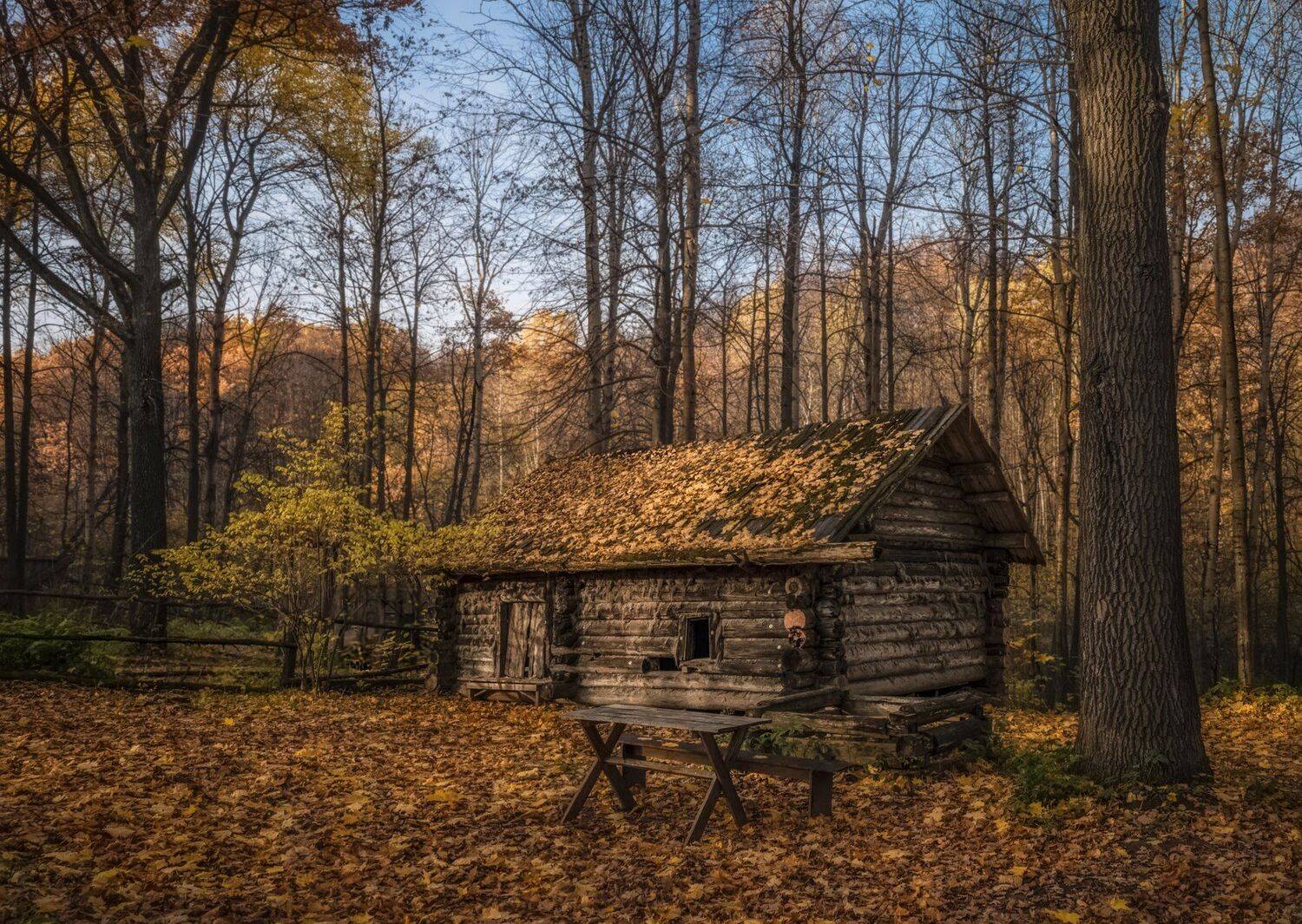 октябрь., заброшенная, банька., музей, деревянного, зодчества., Андрей Колесов