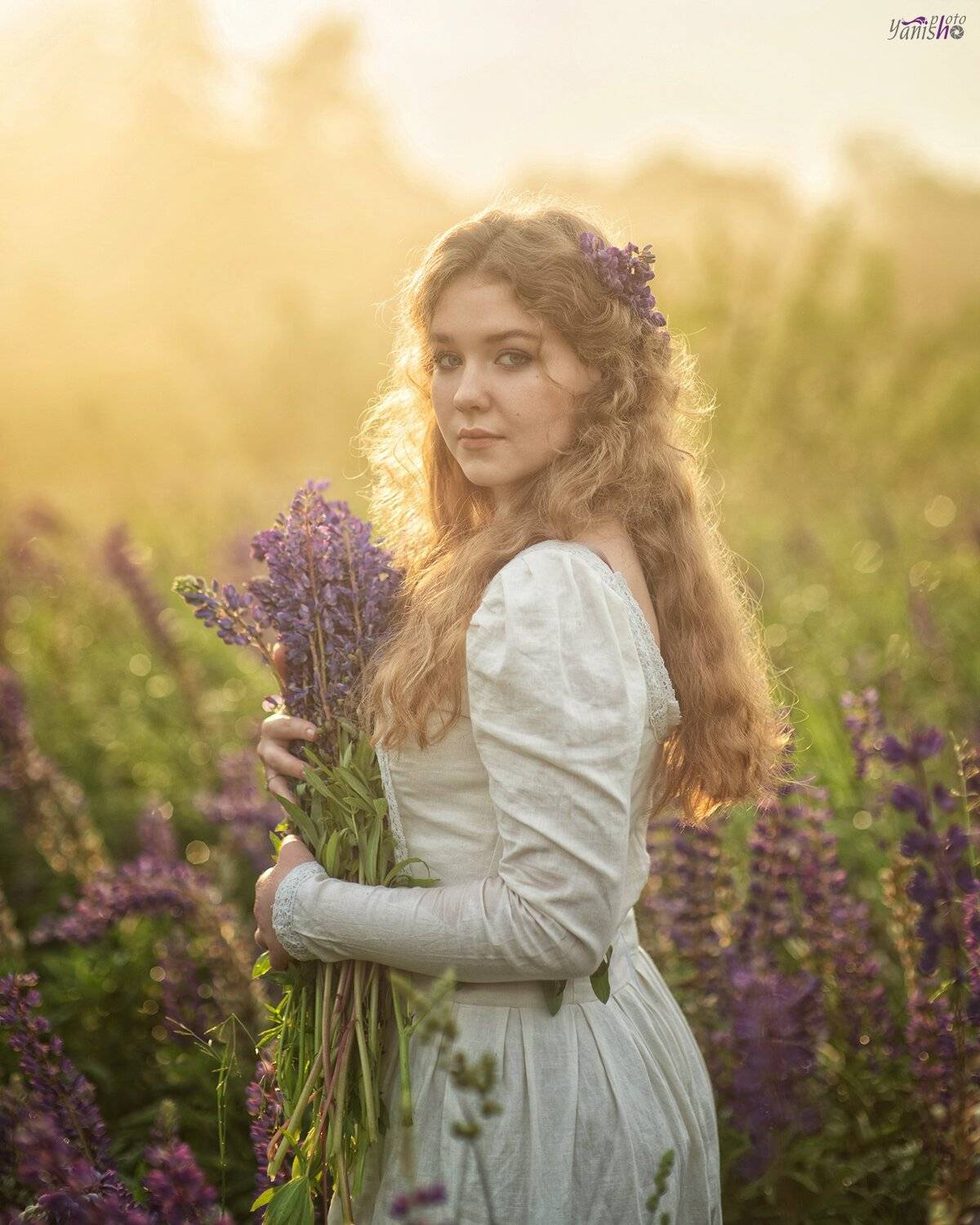 девушка, цветы, закат, поле, люпины, лето, конровичок, красота, сказка, портрет, женский портрет, Янина Ермакова