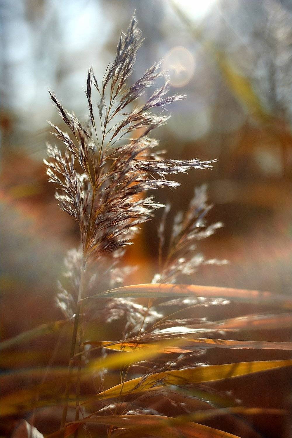 южный урал,оренбургская область, орск, новотроицк,, Качурин Алексей