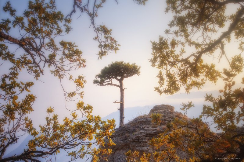 крым, демерджи, осень, фототуры по крыму, Одиноко стоящий фото превью