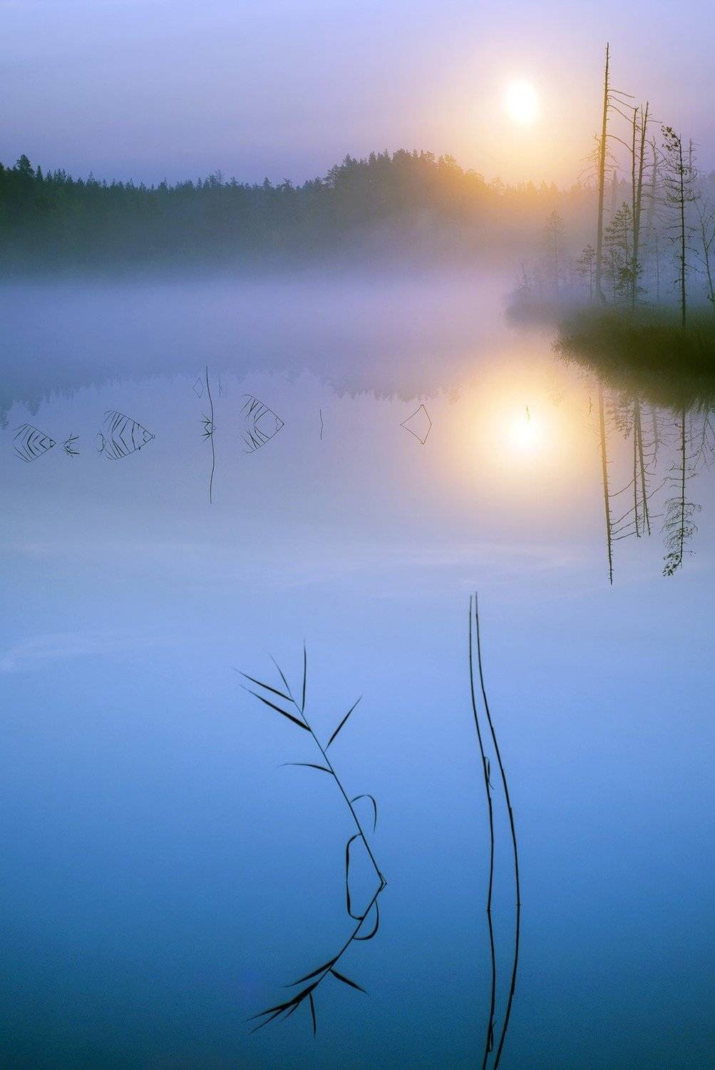 карелия, Виктор