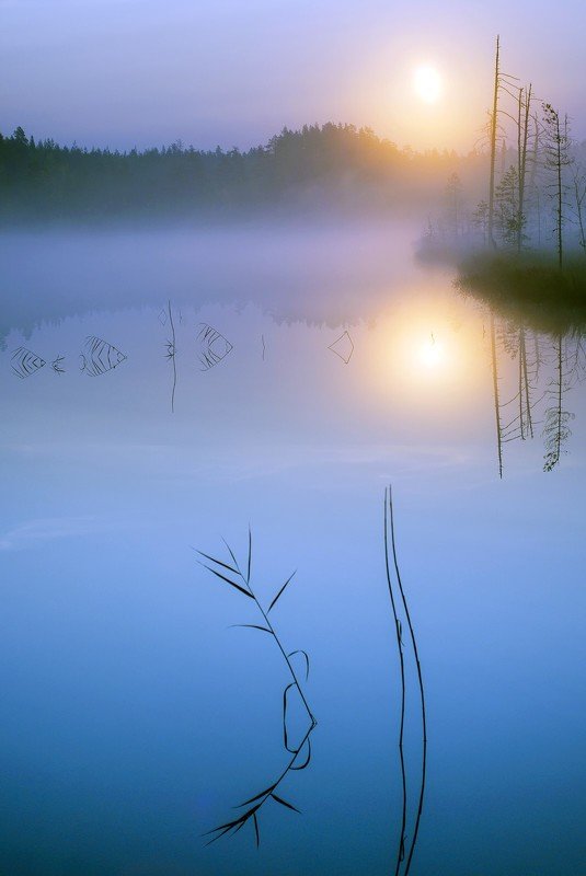 в тишине фото превью
