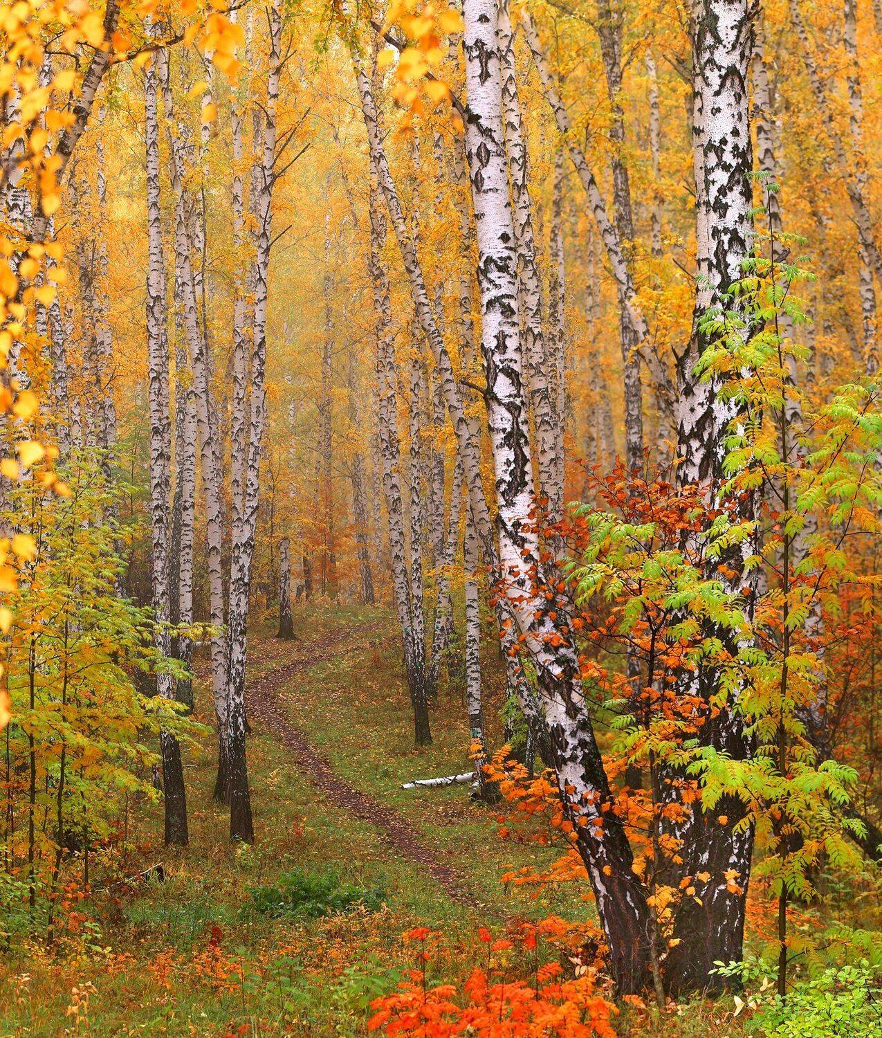 , Олег Богданов