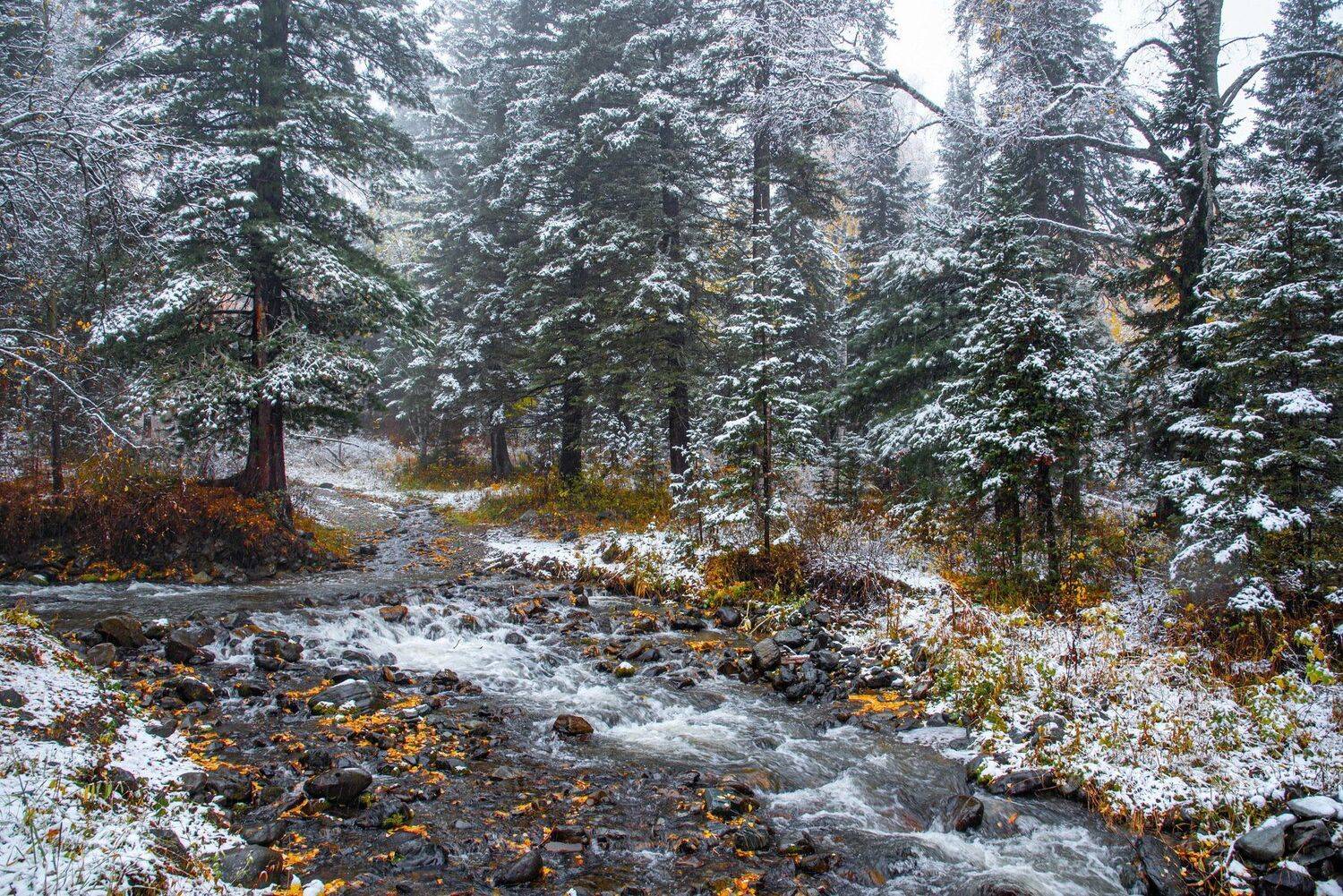 горы. осень алтай, Евгений Дроботенко