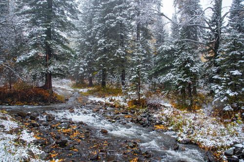 Первый снег Алтая.