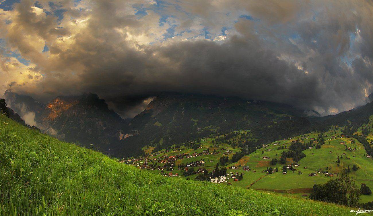 swiss, Матвеев Николай