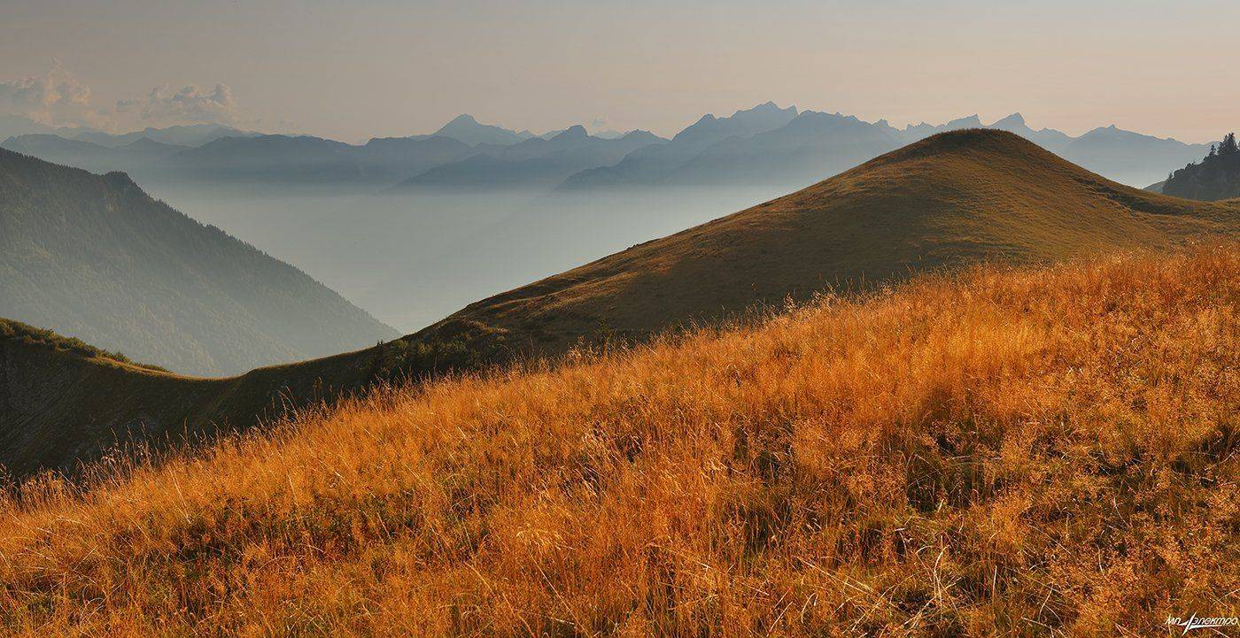 swiss, Матвеев Николай
