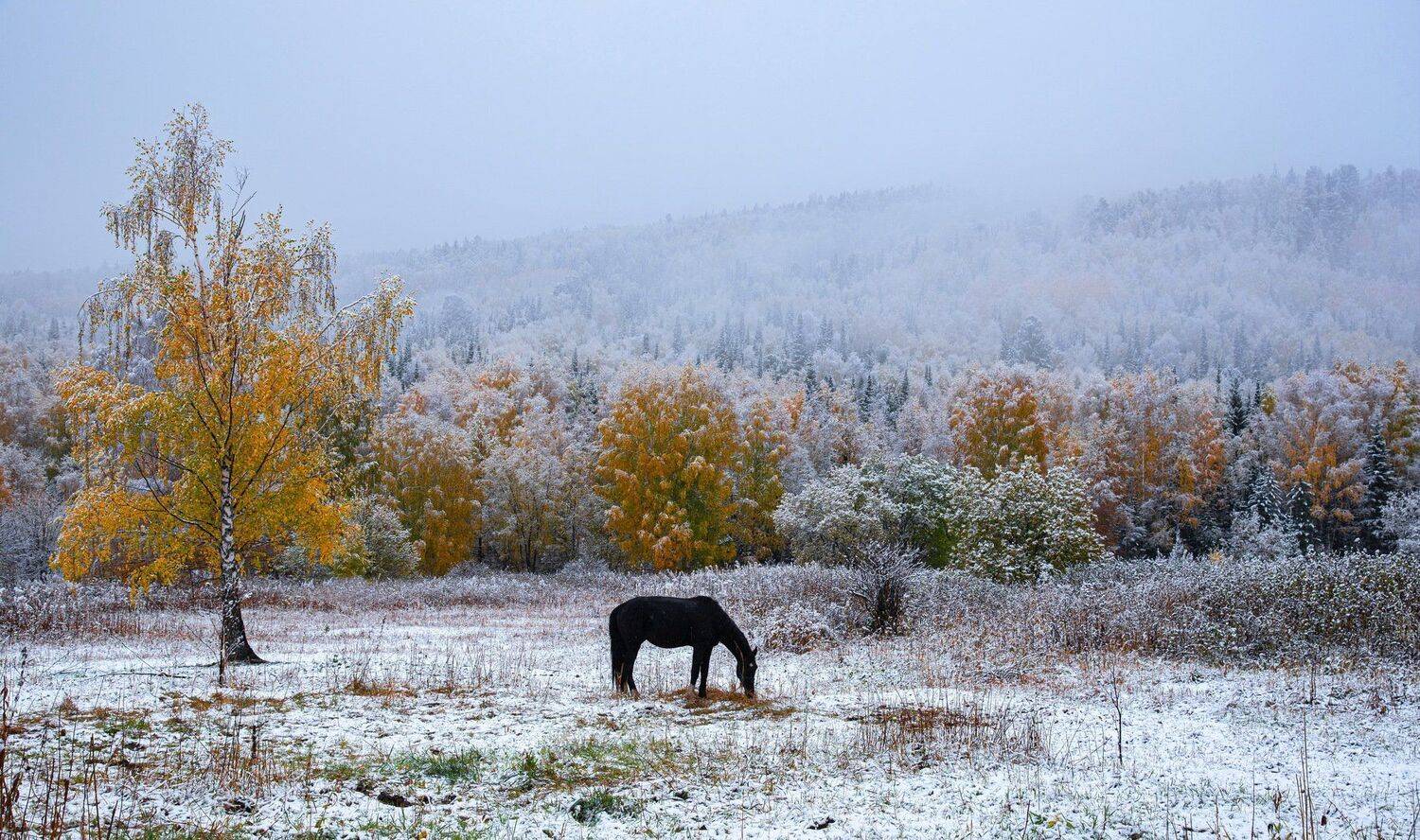 алтай. осень. горы., Евгений Дроботенко