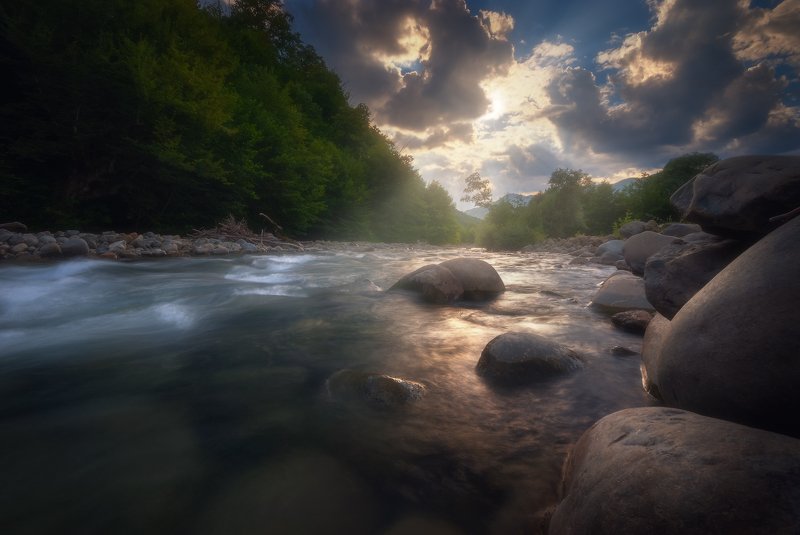 Sunlight melody фото превью