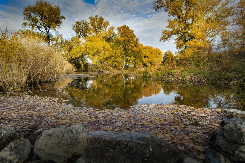 губерля. Губерля. фото превью