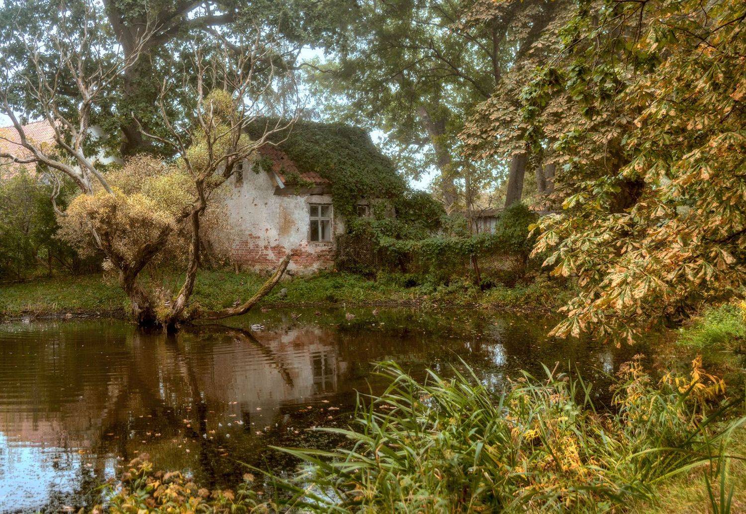 , Павел Дунюшкин