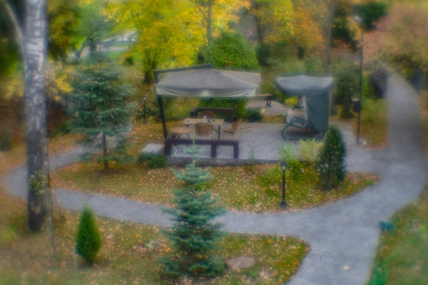 , Курлянцев Алексей