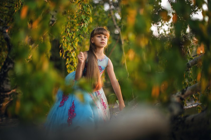 История с ракушкой фото превью