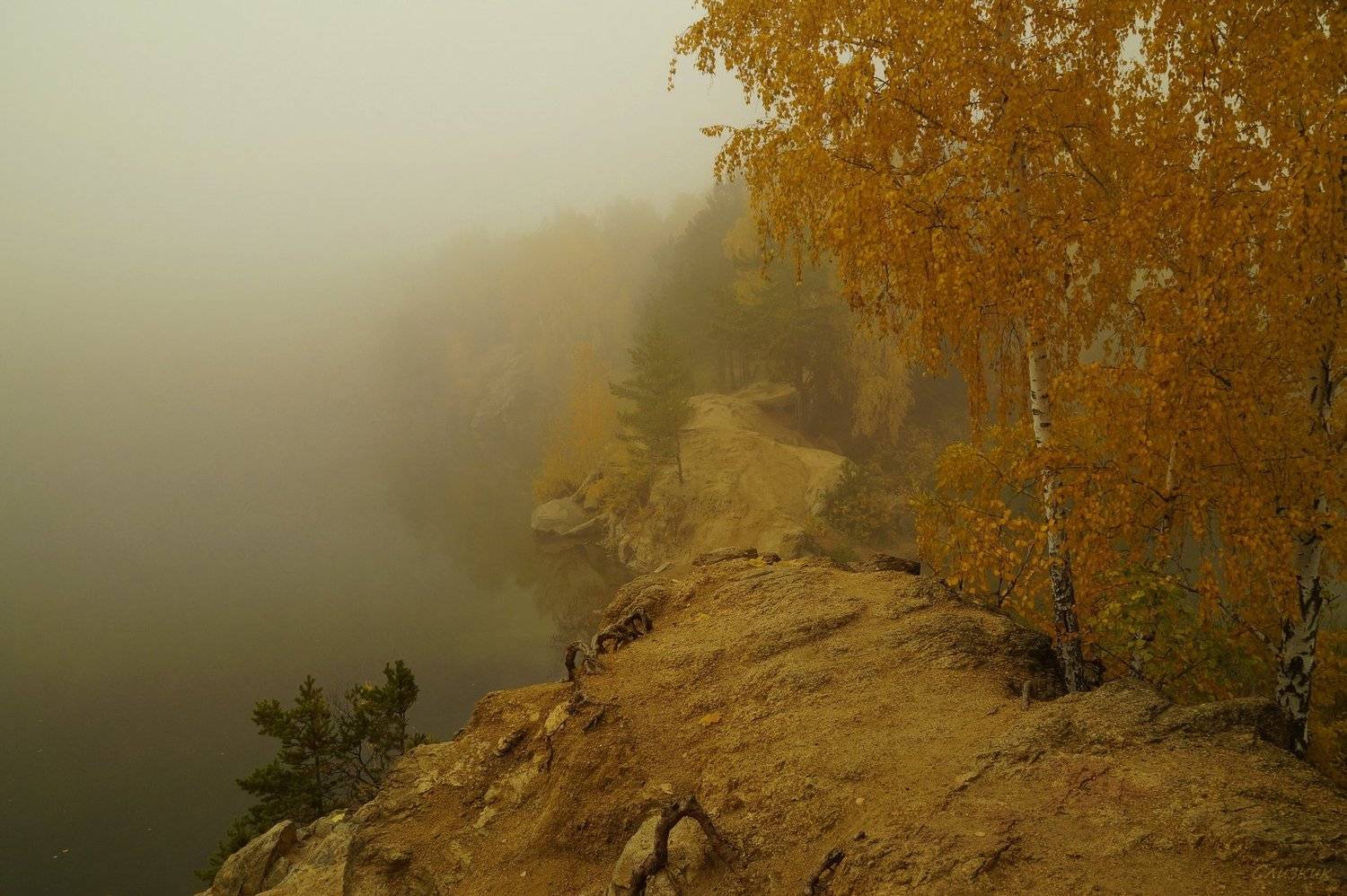 пейзаж,туман,октябрь,лес, Инаида