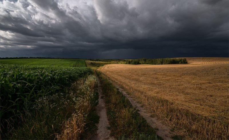 августовские грозы...(p.s) фото превью