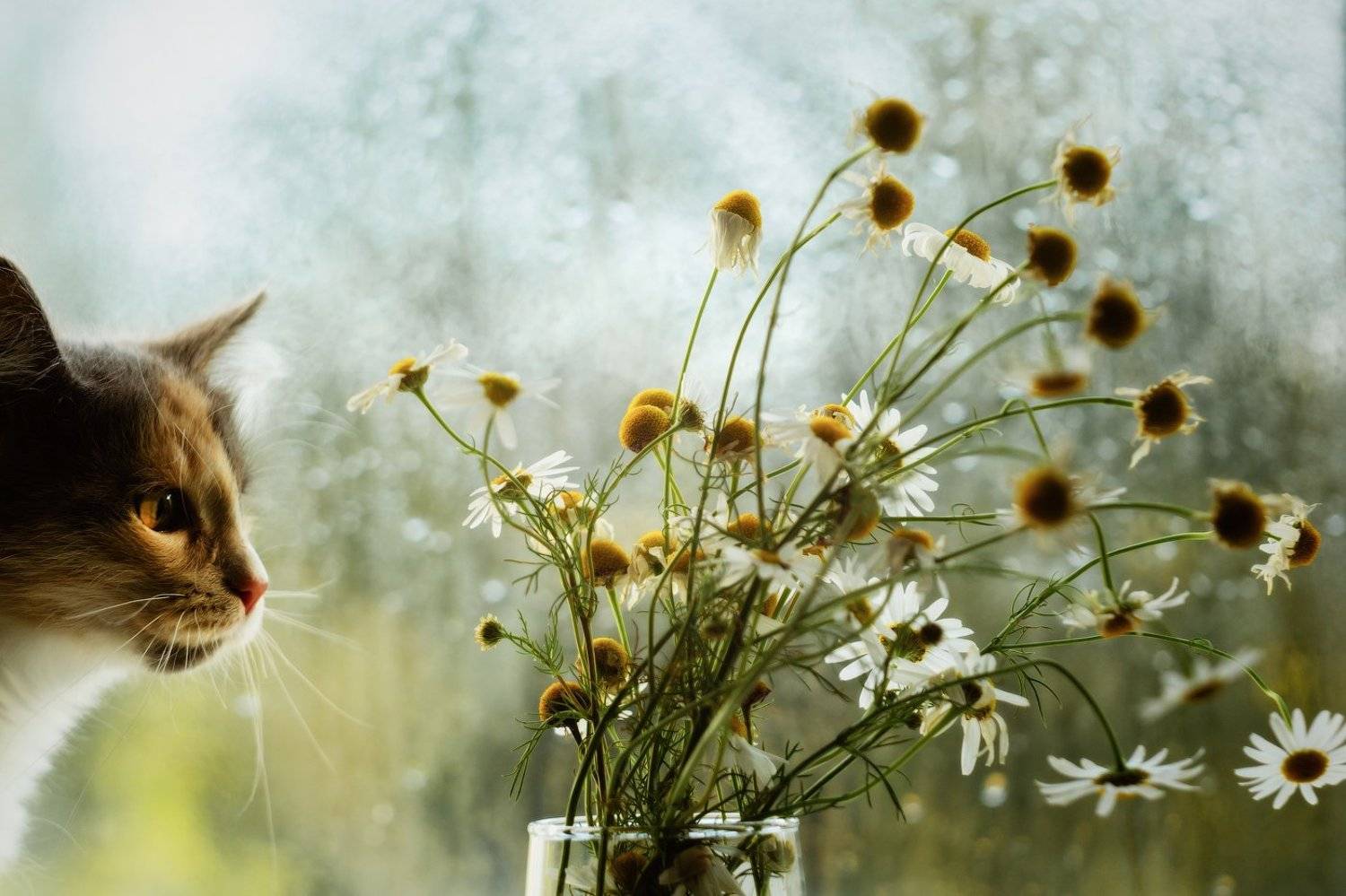 , Татьяна Акимова