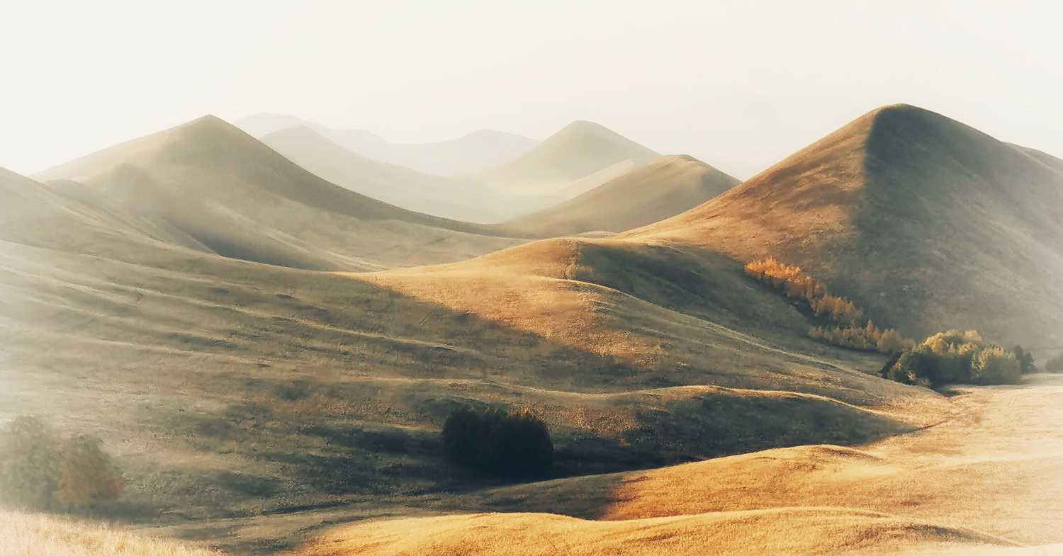 утро, рассвет, восход, туман, лучи, Леонид Максименко
