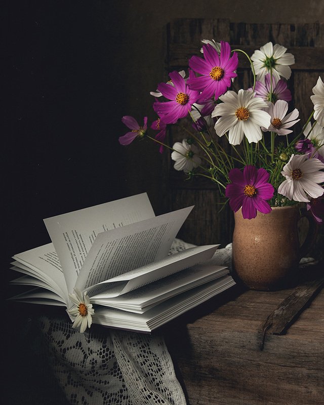 цветы, космея, натюрморт Космея фото превью