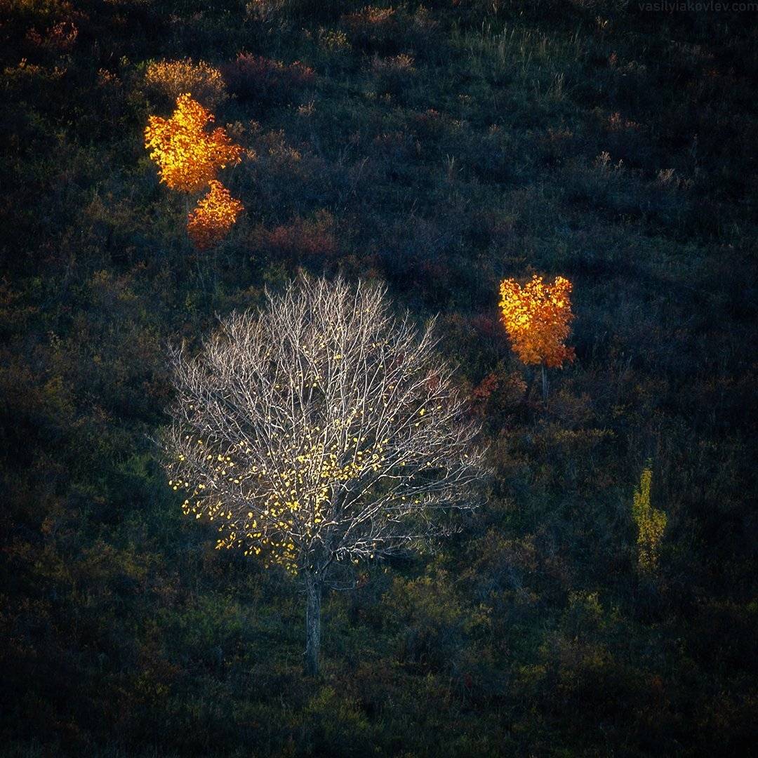 екатеринбург, яковлевфототур, фототур, василийяковлев, урал, долгие горы, Василий Яковлев