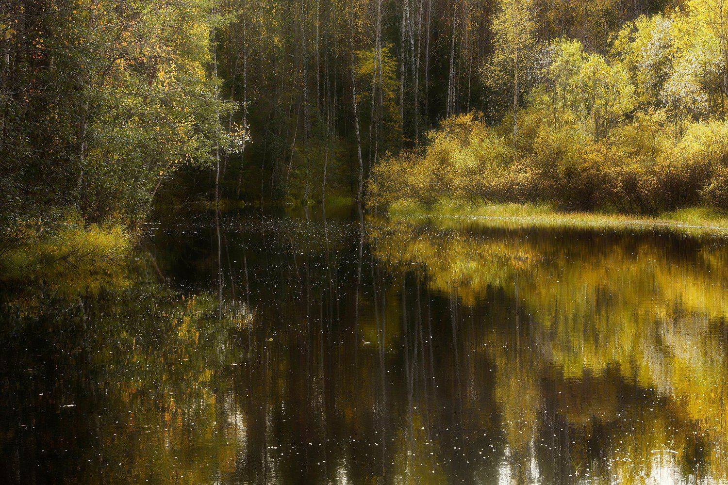 осень, сентябрь, река, берег, вода, отражения, тишина, кусты, деревья, Ра Вера