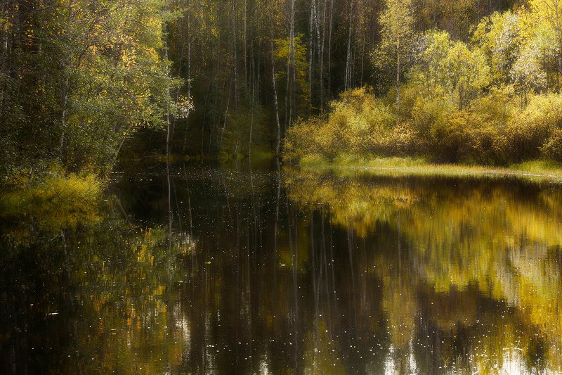 осень, сентябрь, река, берег, вода, отражения, тишина, кусты, деревья Тихая заводь фото превью