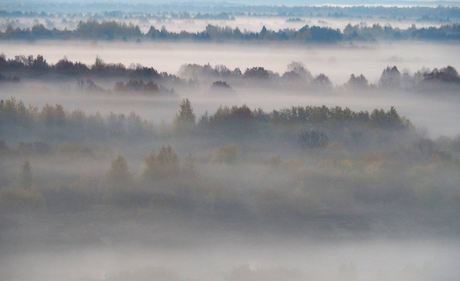 , Андрей Перешеин
