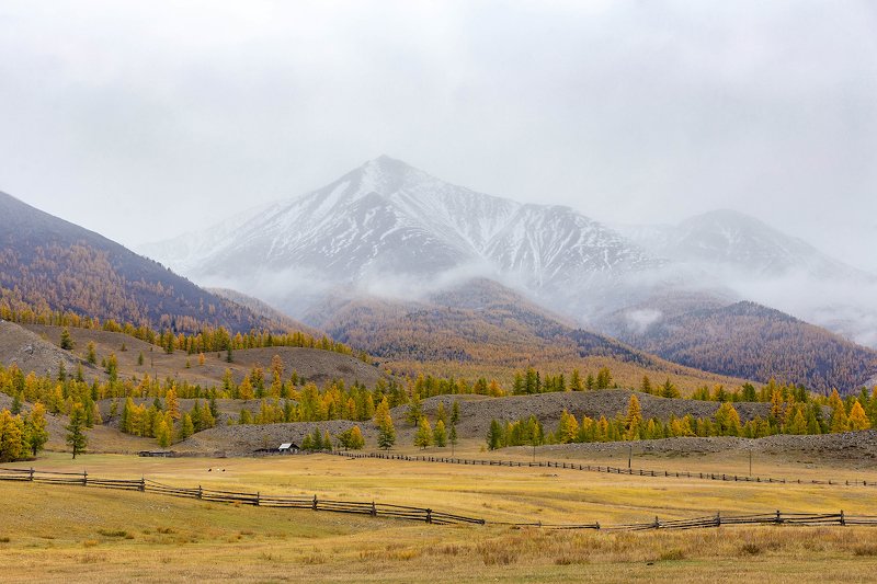 У Саянских гор фото превью