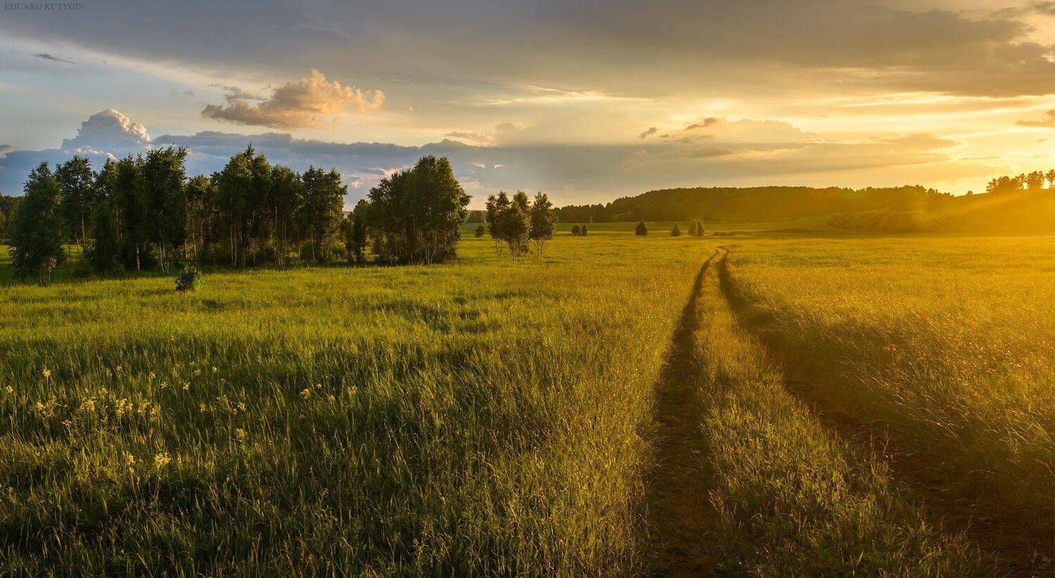 Зауралье, Кутыгин Эдуард