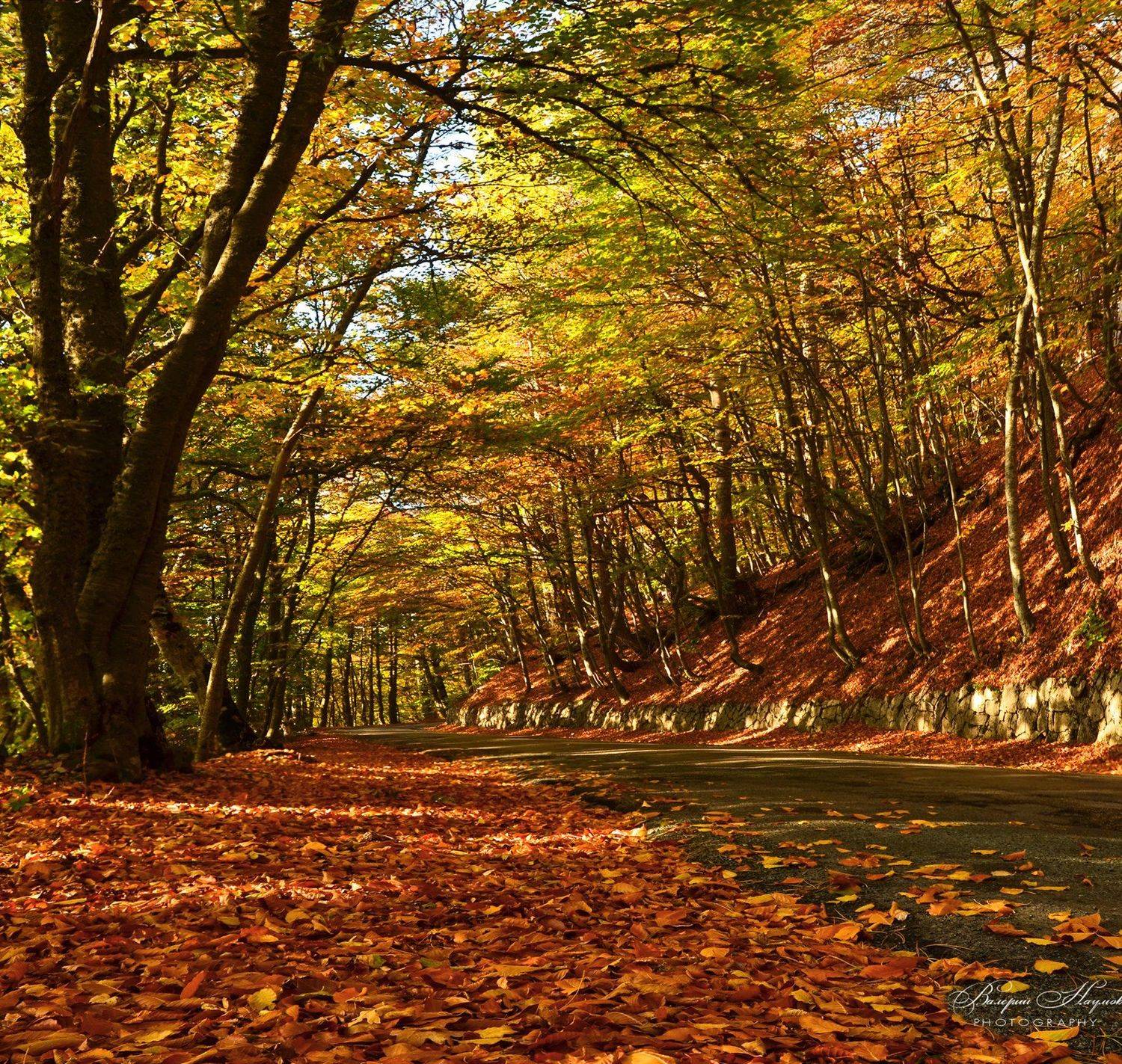 осень, крым, дорога на ай-петри, листва, дорога, Валерий Наумов