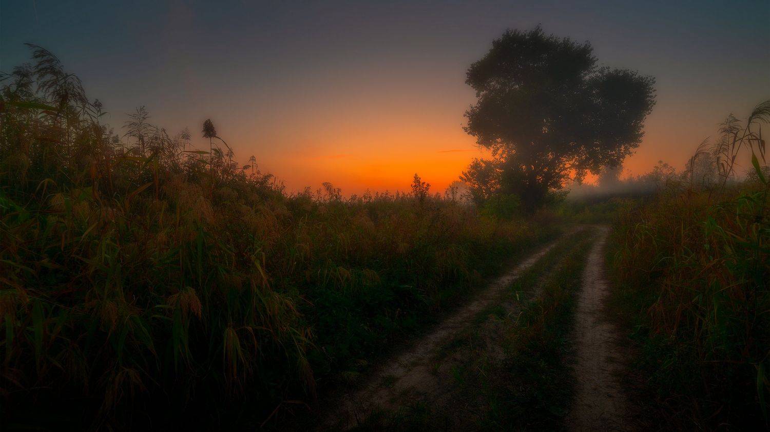 , Alexander Plekhanov