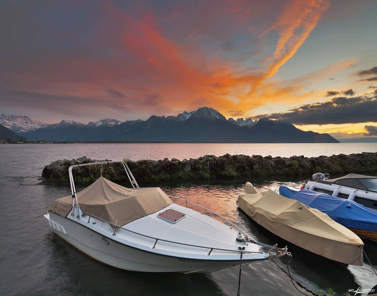 swiss, Матвеев Николай