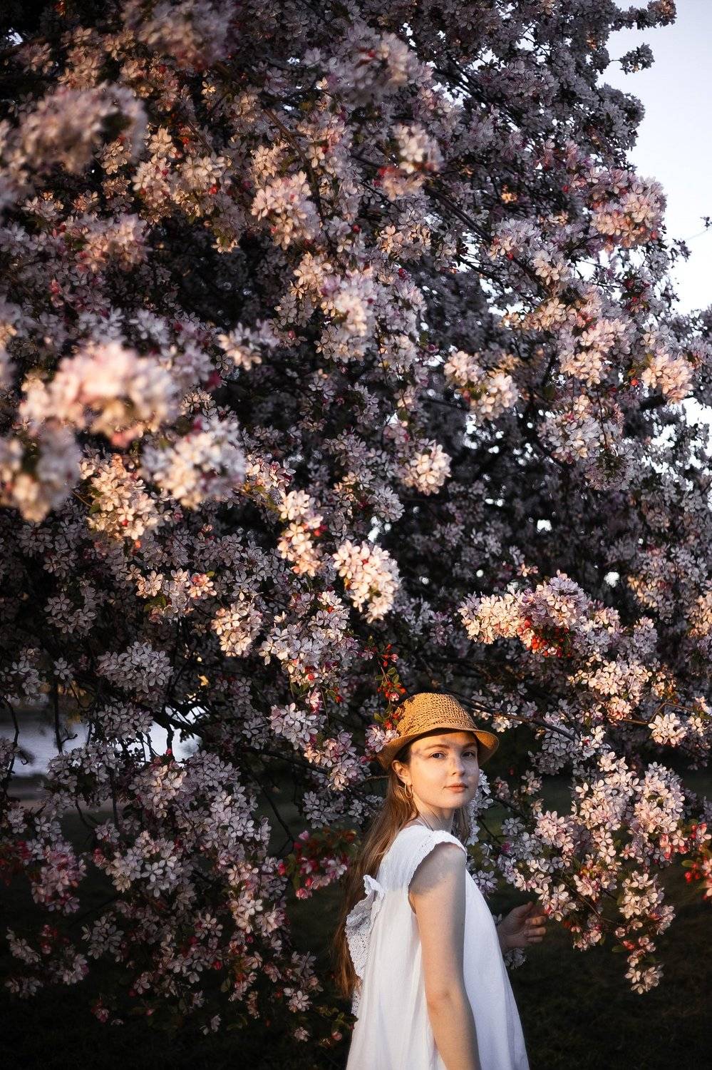 portrait, model, sun, модель, girl, портрет, Ana Ray