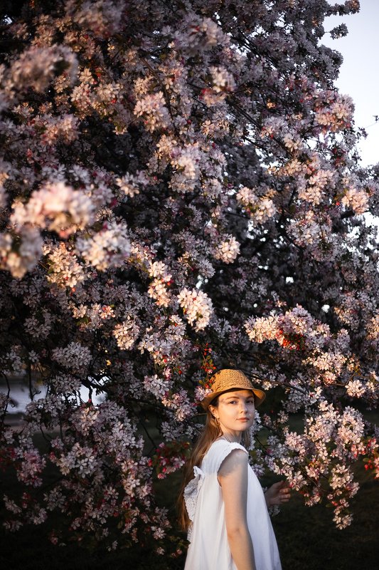 portrait, model, sun, модель, girl, портрет  фото превью