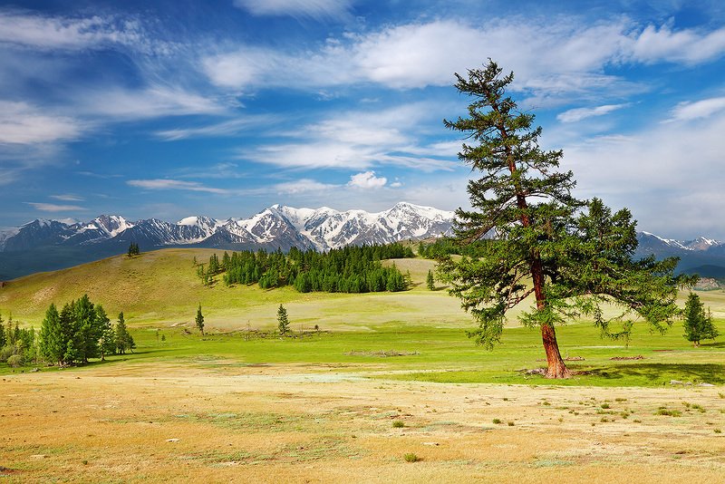 Алтай 8 фото превью