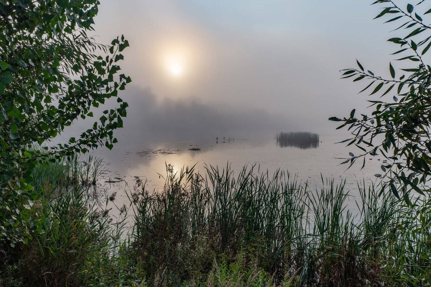 Озеро, туман, рассвет, Чепленко Алексей