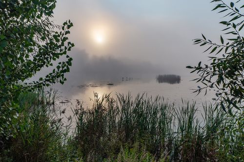 Утро на озере