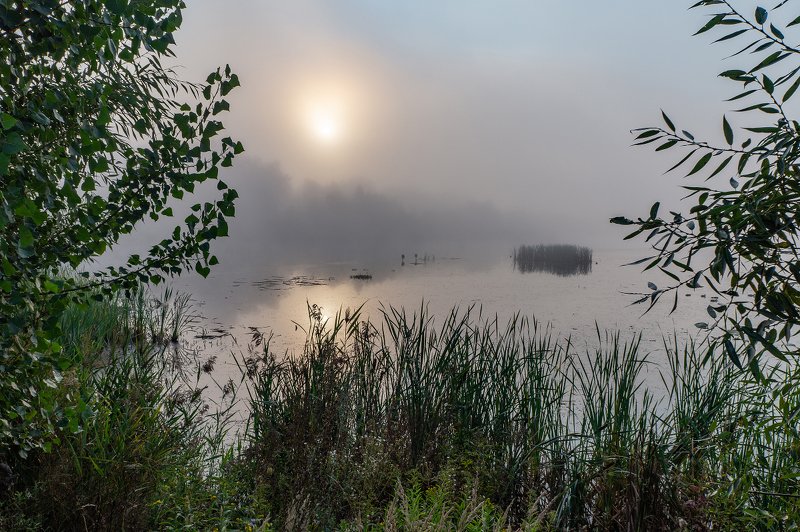 Утро на озере фото превью
