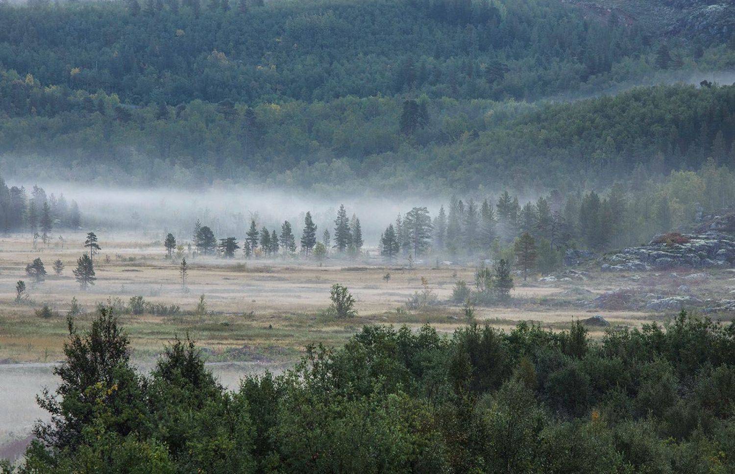 пейзаж, природа,север, рассвет,туман,красота, landscape, nature, north, fog,beautiful, Юлия Стукалова