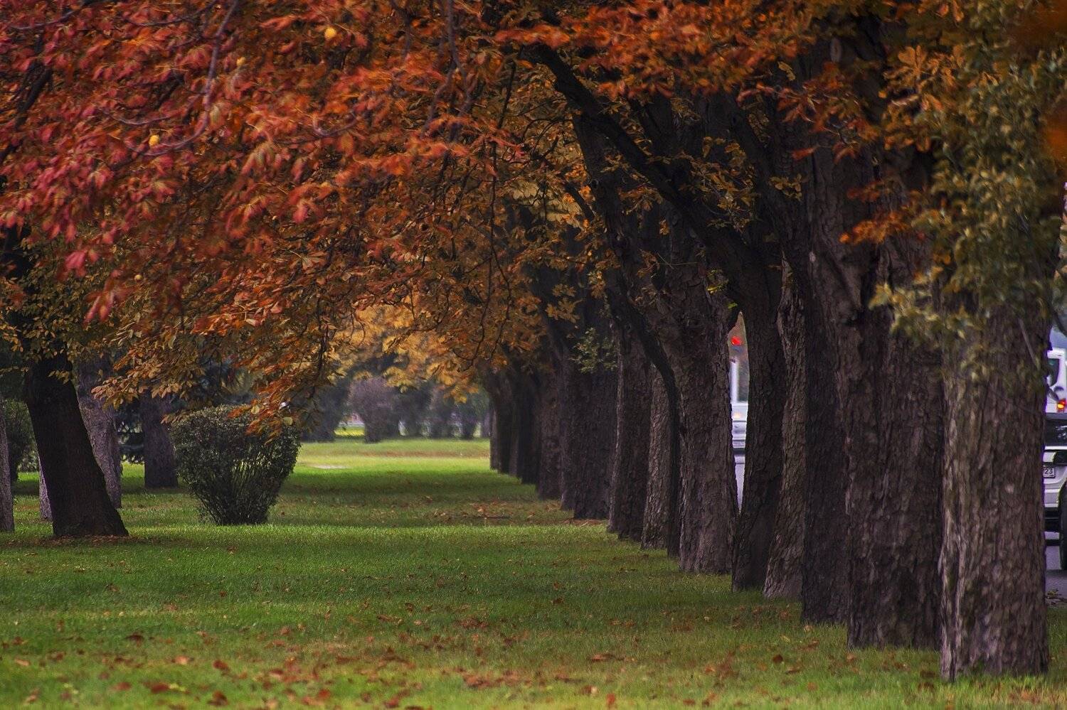 , Павел Сагайдак
