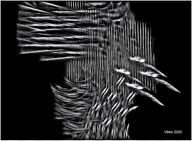 black-white *** фото превью