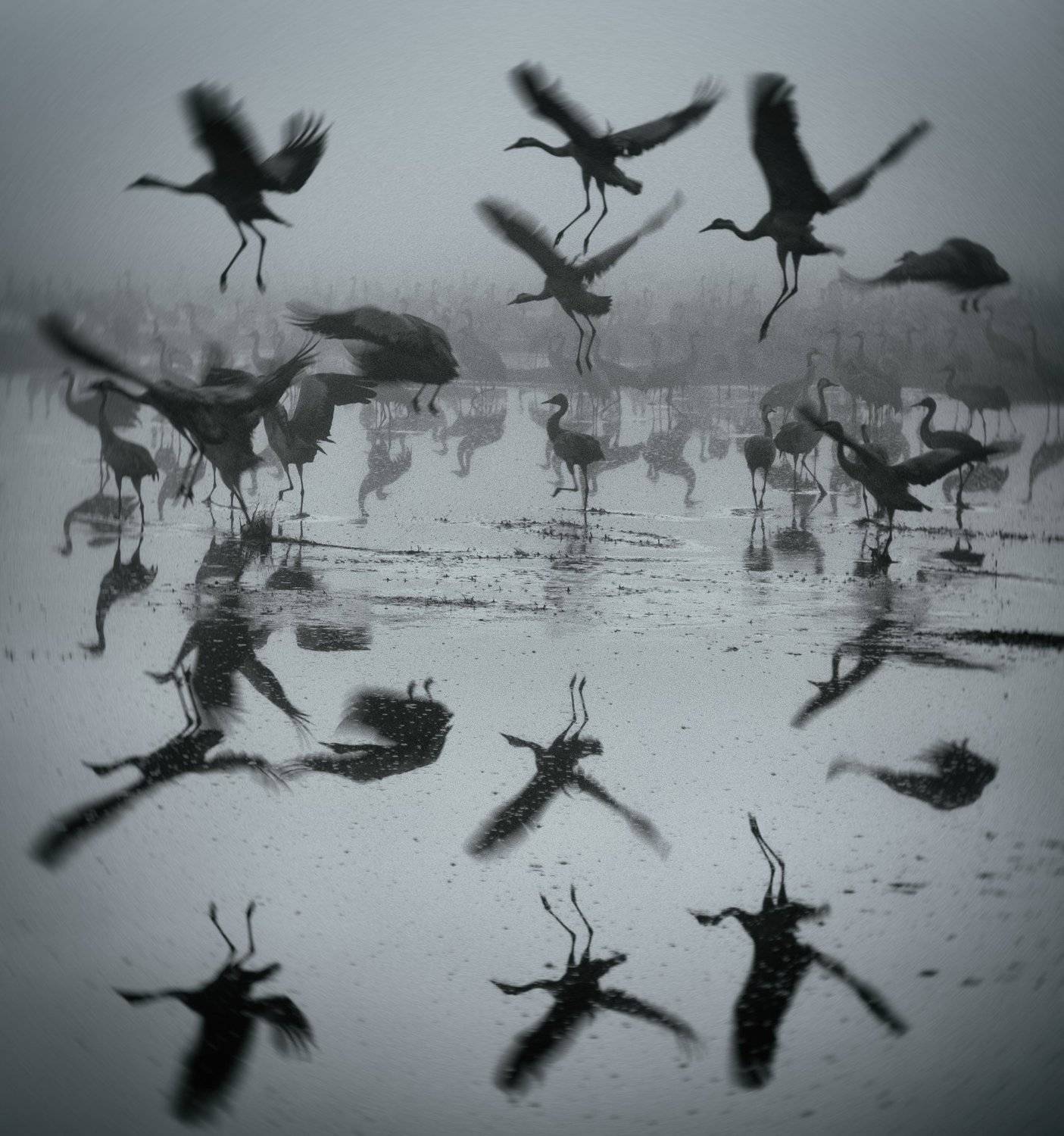 , Григорий Крамаренко