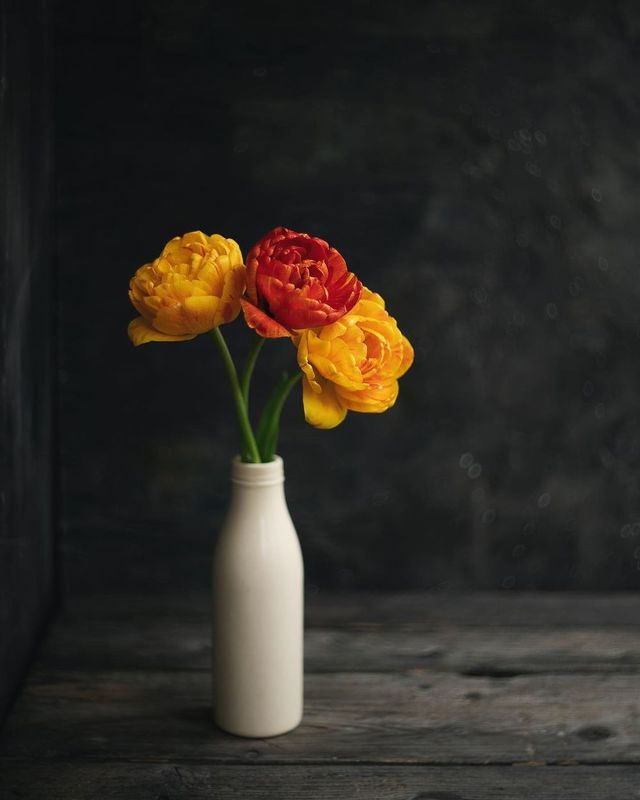 тюльпаны, желтый, красный, букет  фото превью